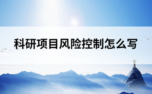 科研项目风险控制怎么写