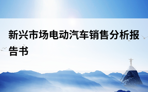 新兴市场电动汽车销售分析报告书